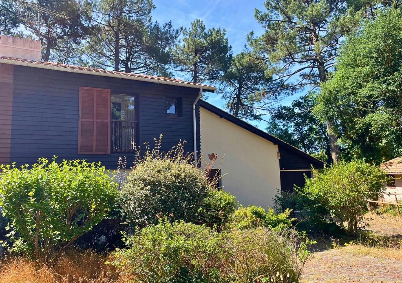 Sylviculteurs - Charmante Villa Patio Renovee Seignosse Eksteriør billede